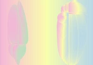 Agata Dworzak Subocz Synergy 5 50x70cm Poland 2021