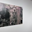Img 9262