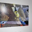 Img 9264